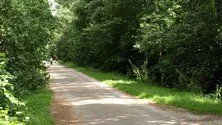 Recreatiecentrum Hazeduinen-