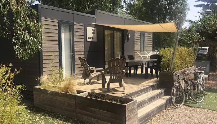 Camping LOasis - California 