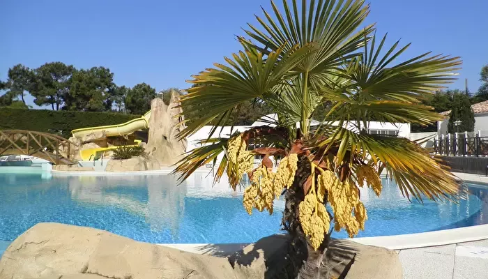 Camping La Yole -
