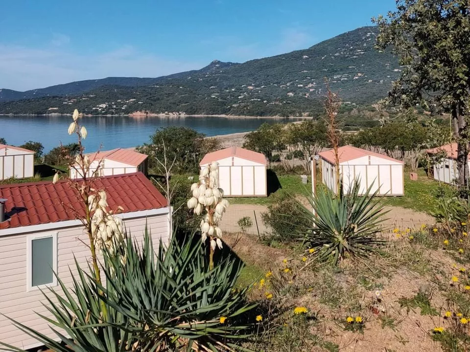 Camping Tikiti