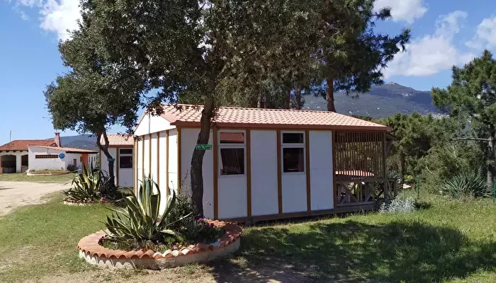 Camping Tikiti