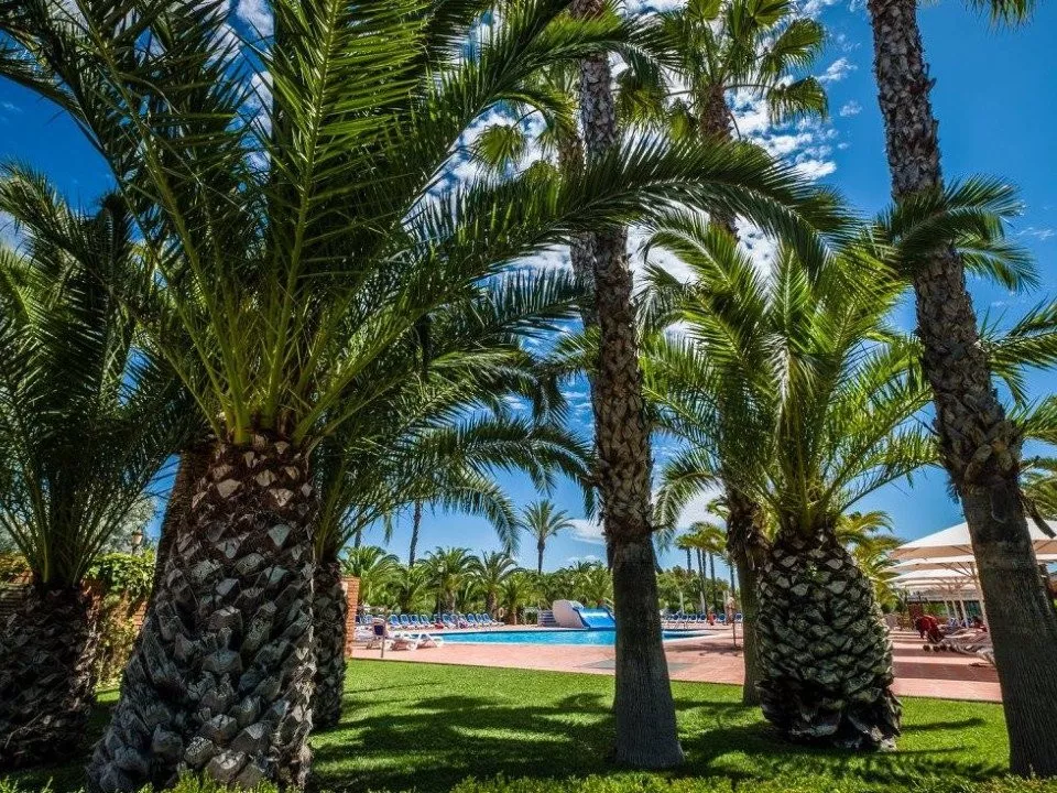 Camping Toscolano -