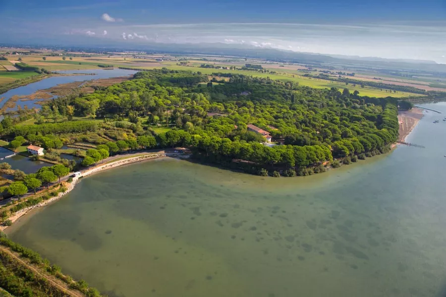 Belvedere Pineta Camping Village -