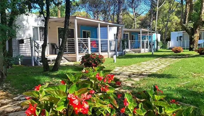 Baia Domizia Camping Village -