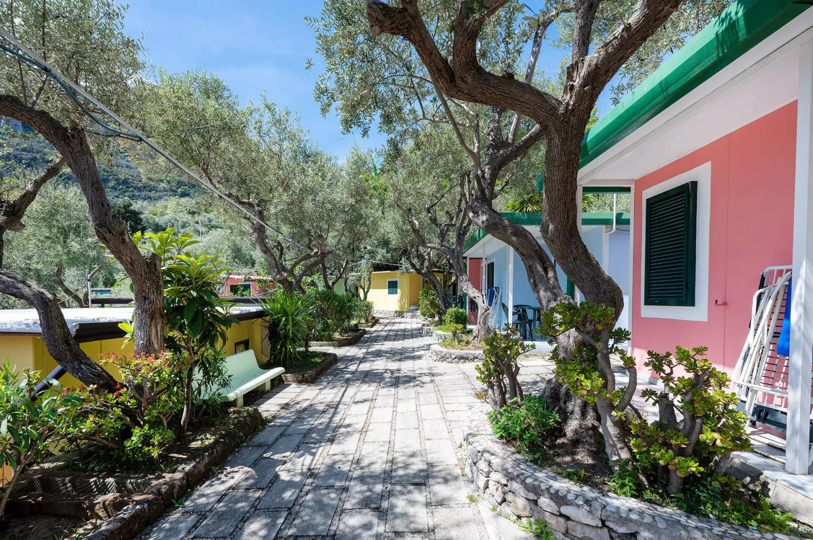 Camping Villaggio Nettuno Srl-