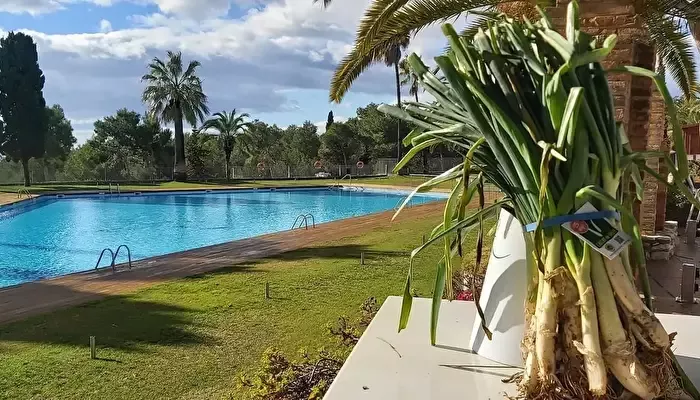 Camping Vilanova Park-