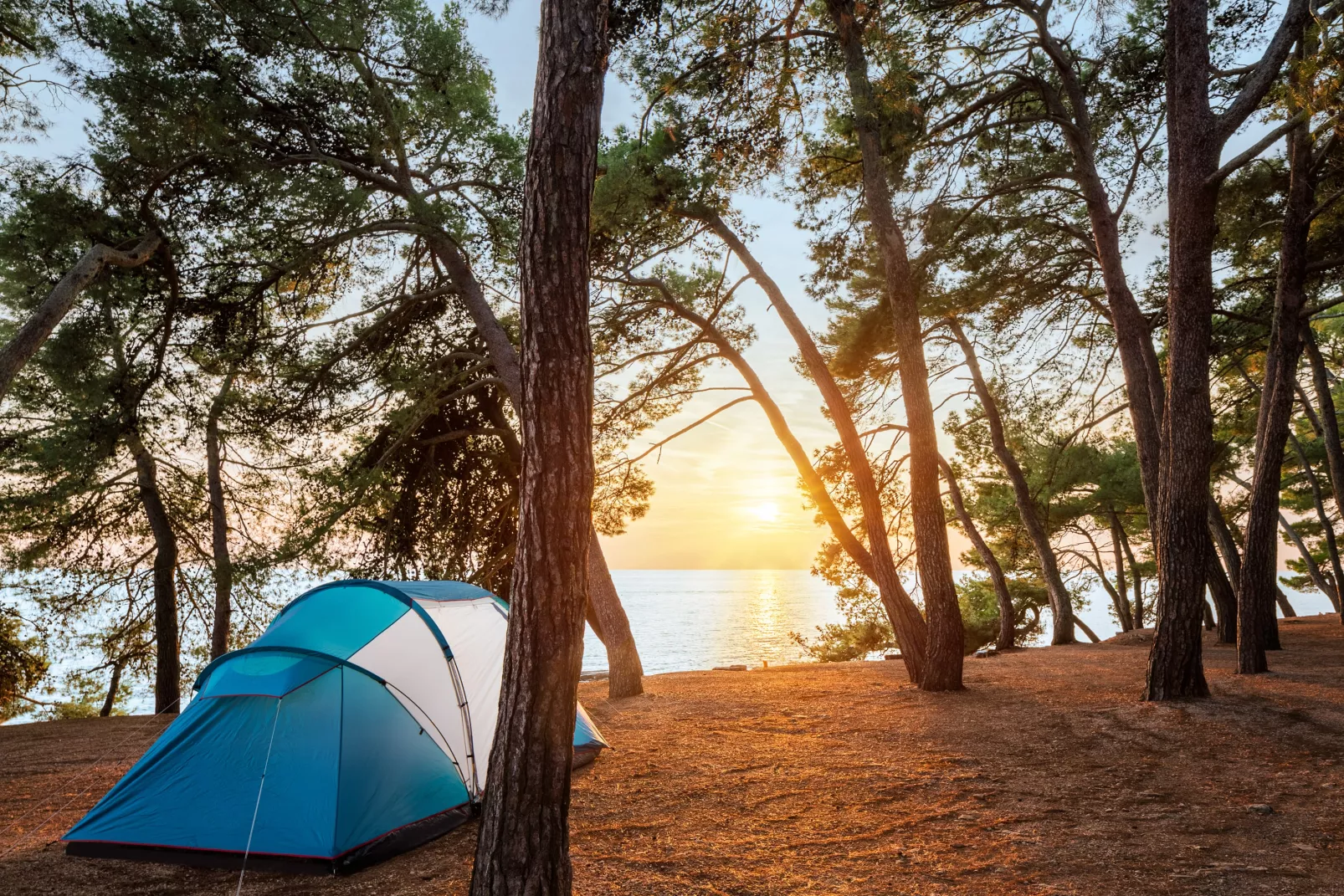 Camping Savudrija -