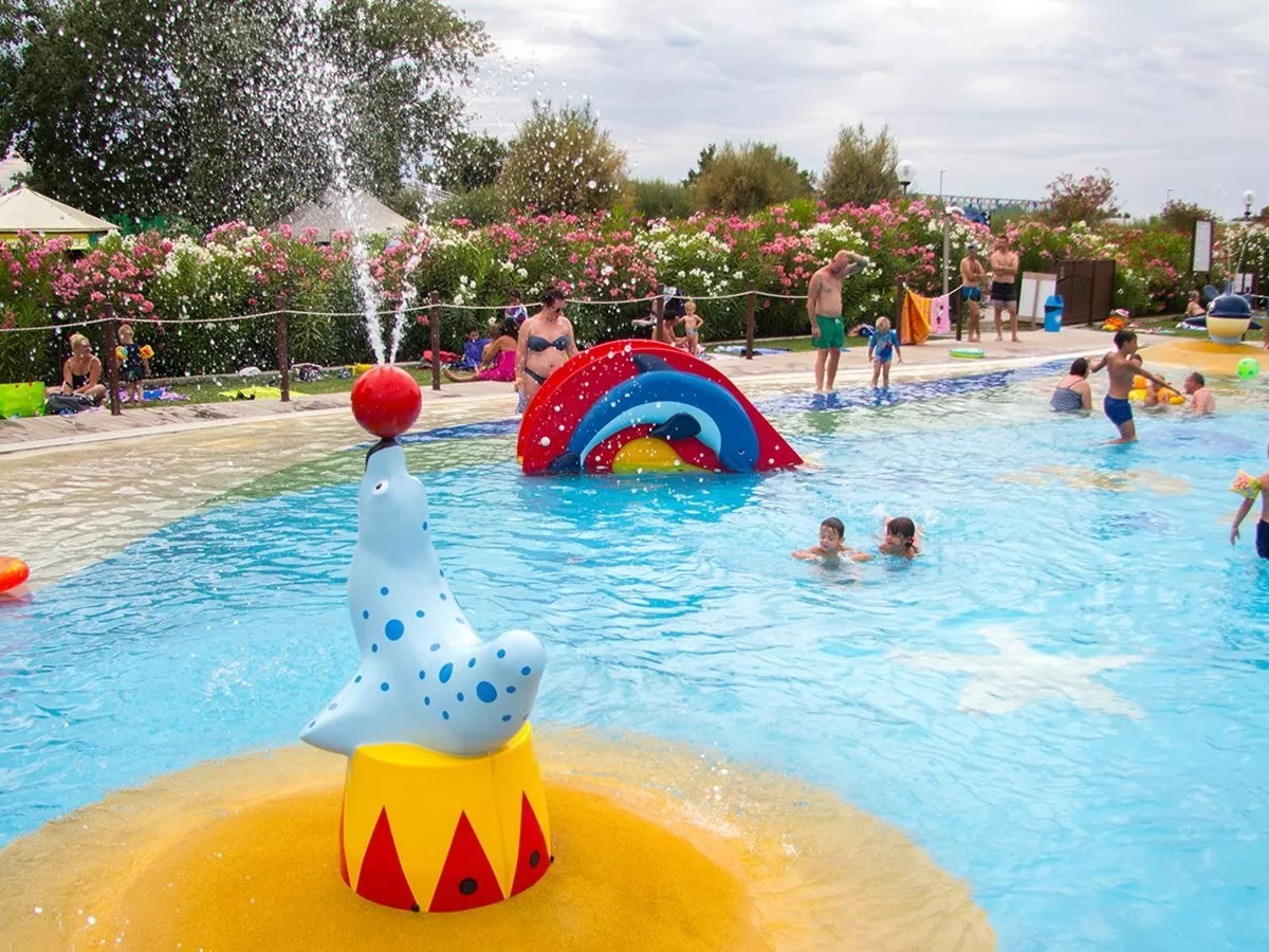 Camping Butterfly -