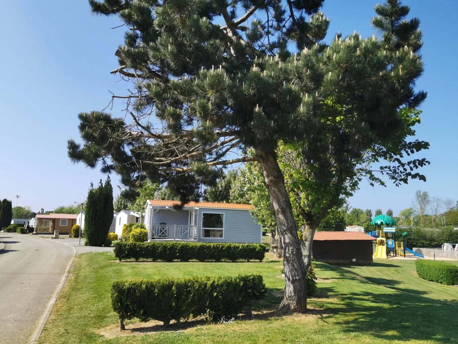 Flower Camping Dieppe Vitamín -