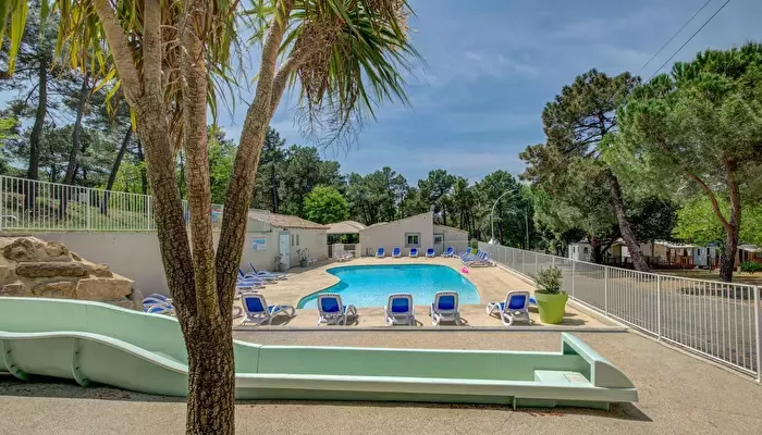 Camping Pinède en Provence 