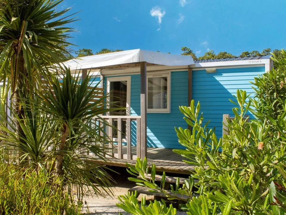 Camping Le Bois Verdon -