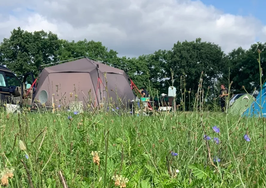 Strandbad & Camping Oderbruch am Baggersee Gusow