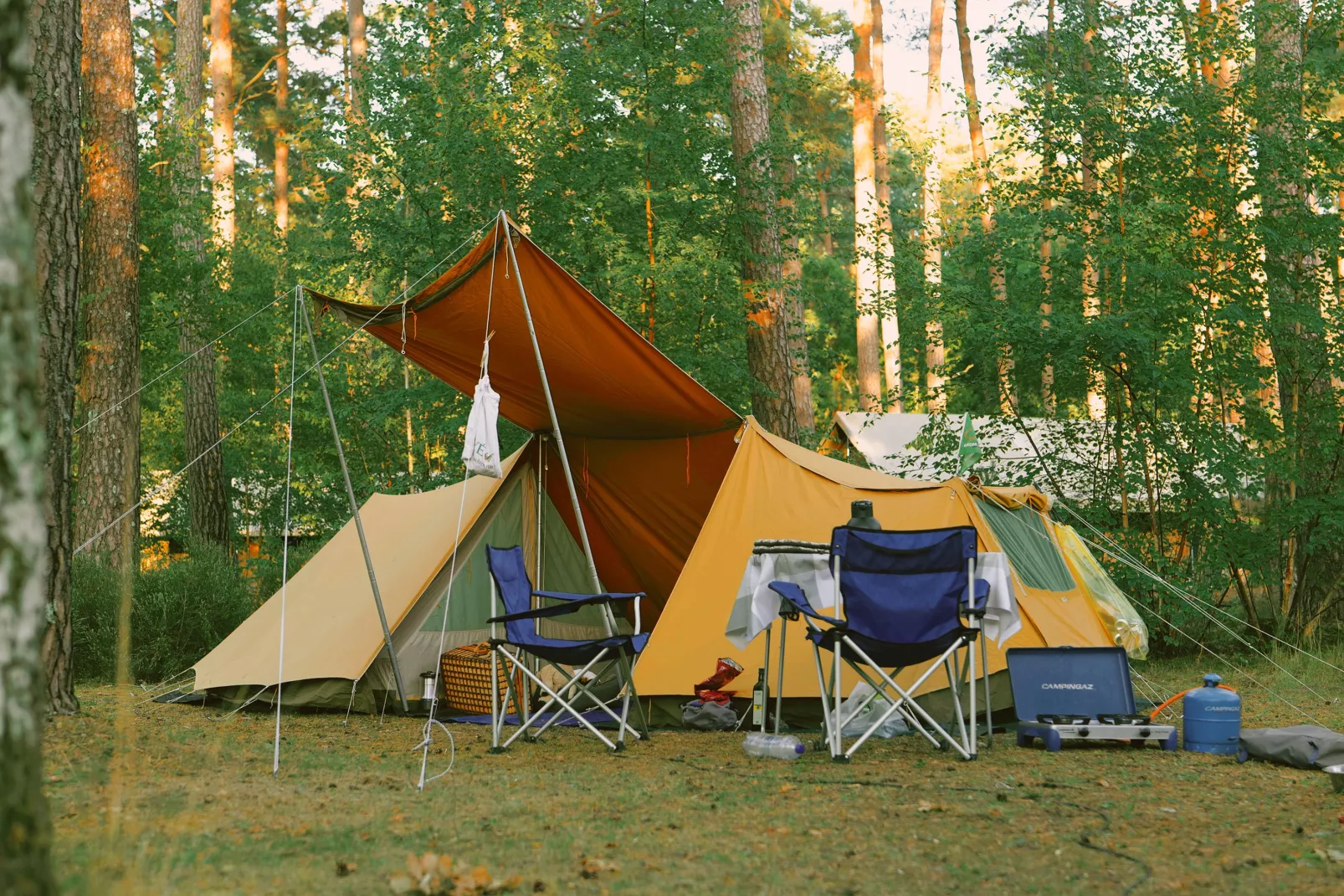 Onlycamp des Pins