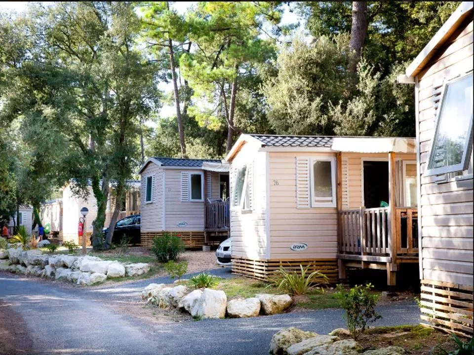 Camping Signol -