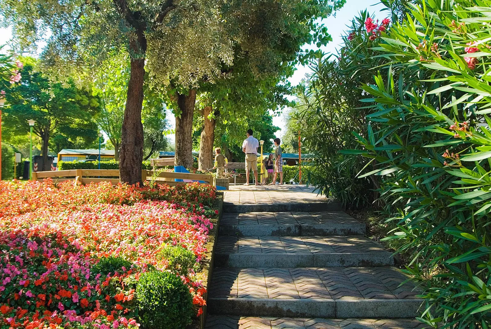 Camping Cisano/San Vito -