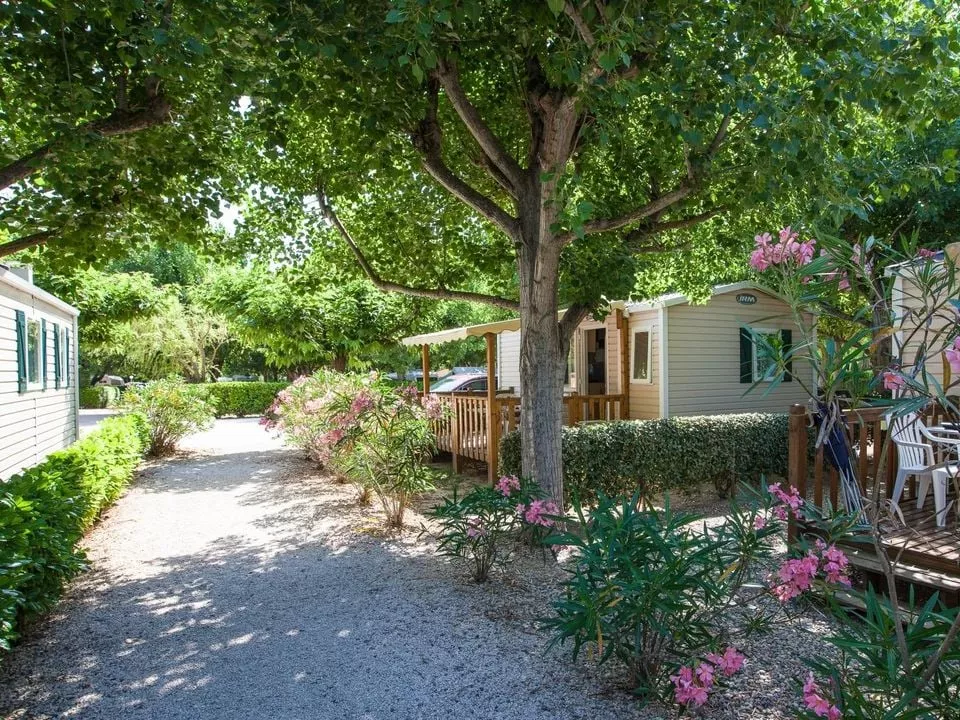 Camping Paradis Les Amarines -