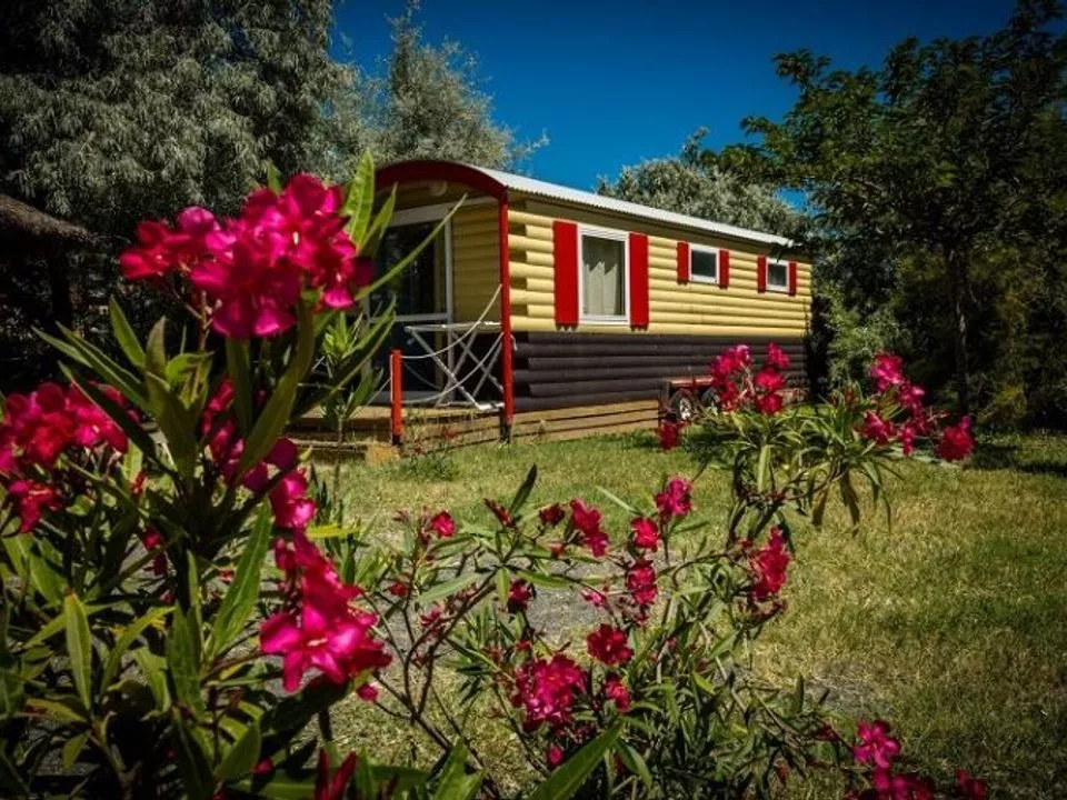 Flower Camping Soleil dOc 