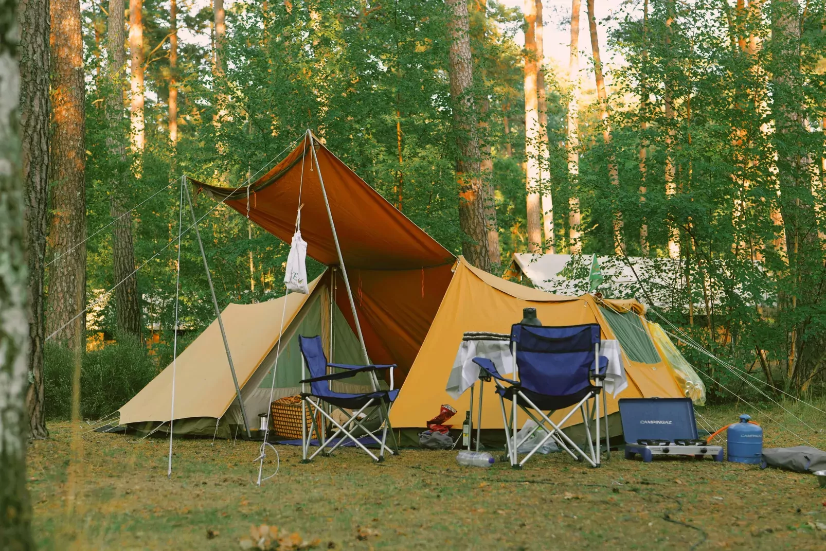 Onlycamp des Pins