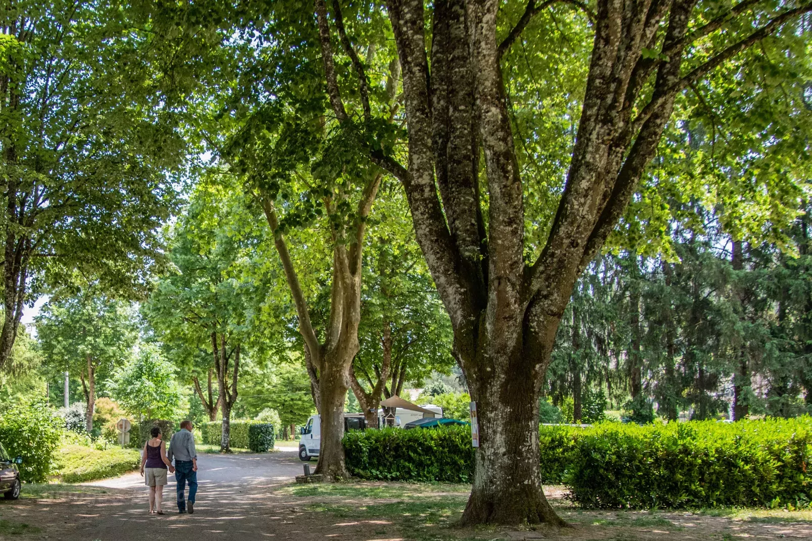 Onlycamp Les Premières Vignes 