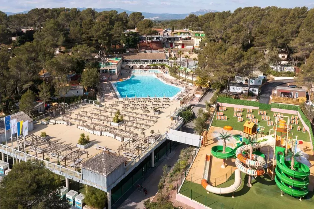 Camping Holiday Green -