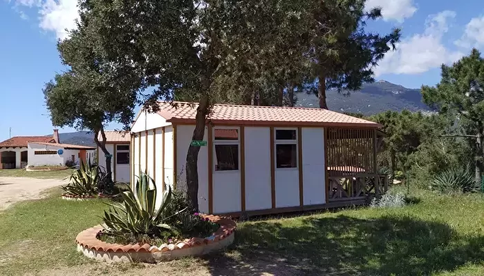 Camping Tikiti