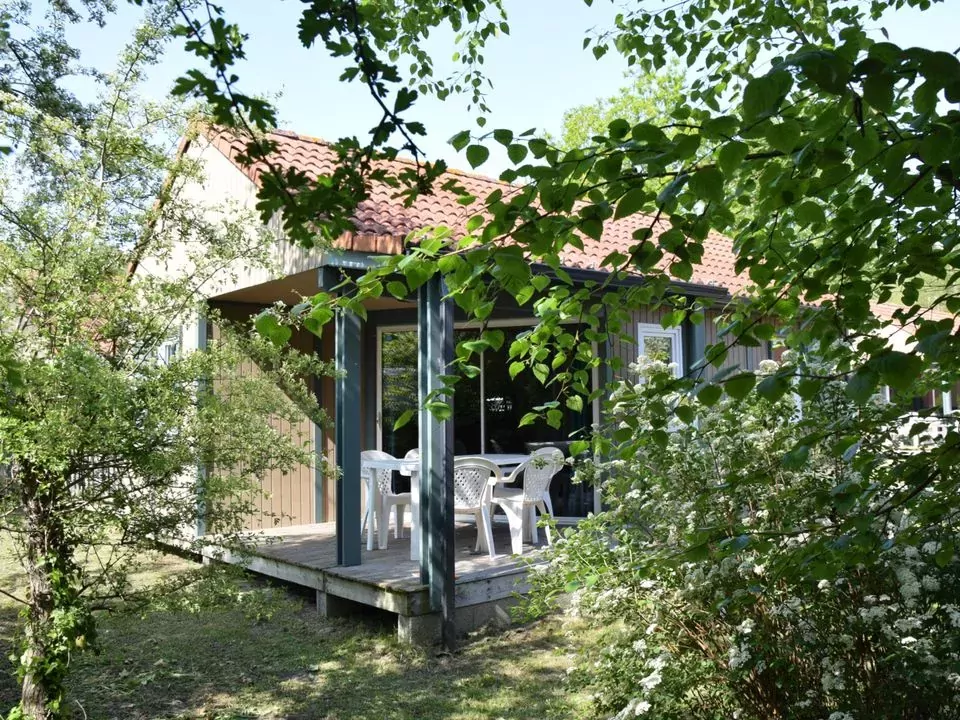 Camping lOrée du Bois 