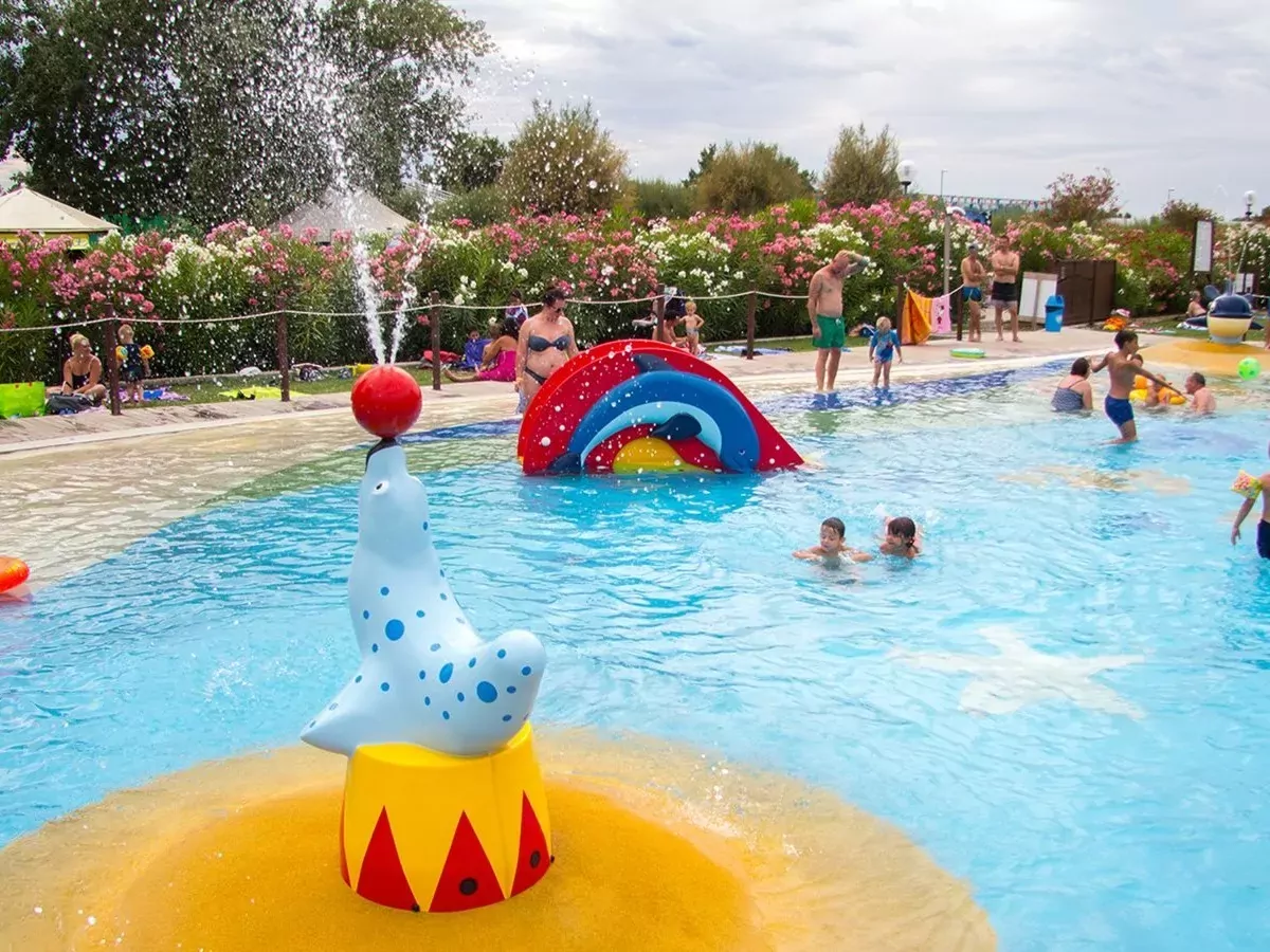 Camping Butterfly -