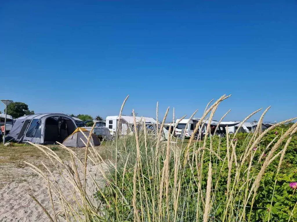 CampOne Grenen Strand 