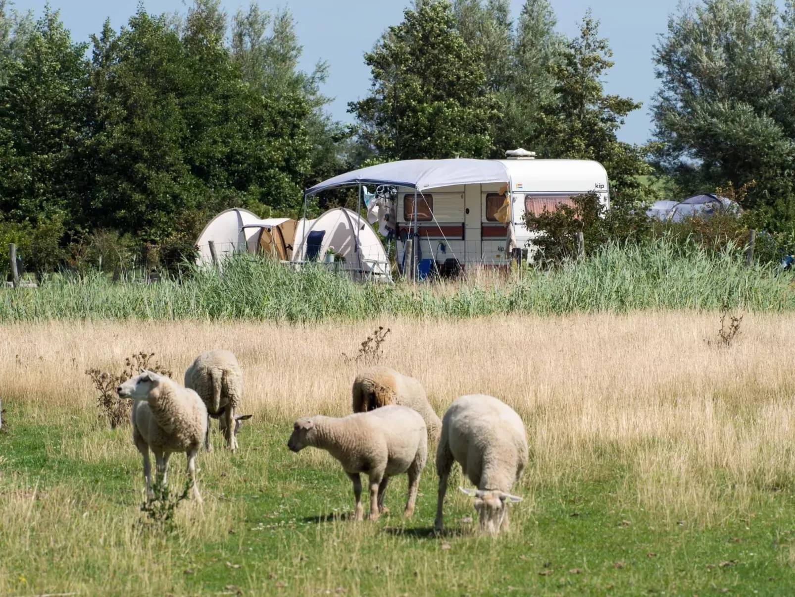 Landschapscamping Kijkuit