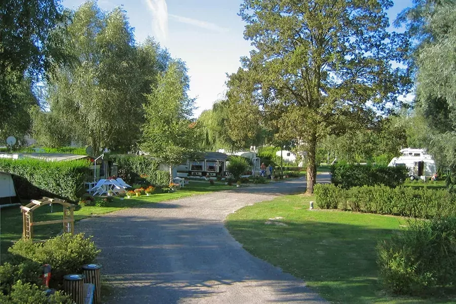 Camping du Vivier aux Carpes -