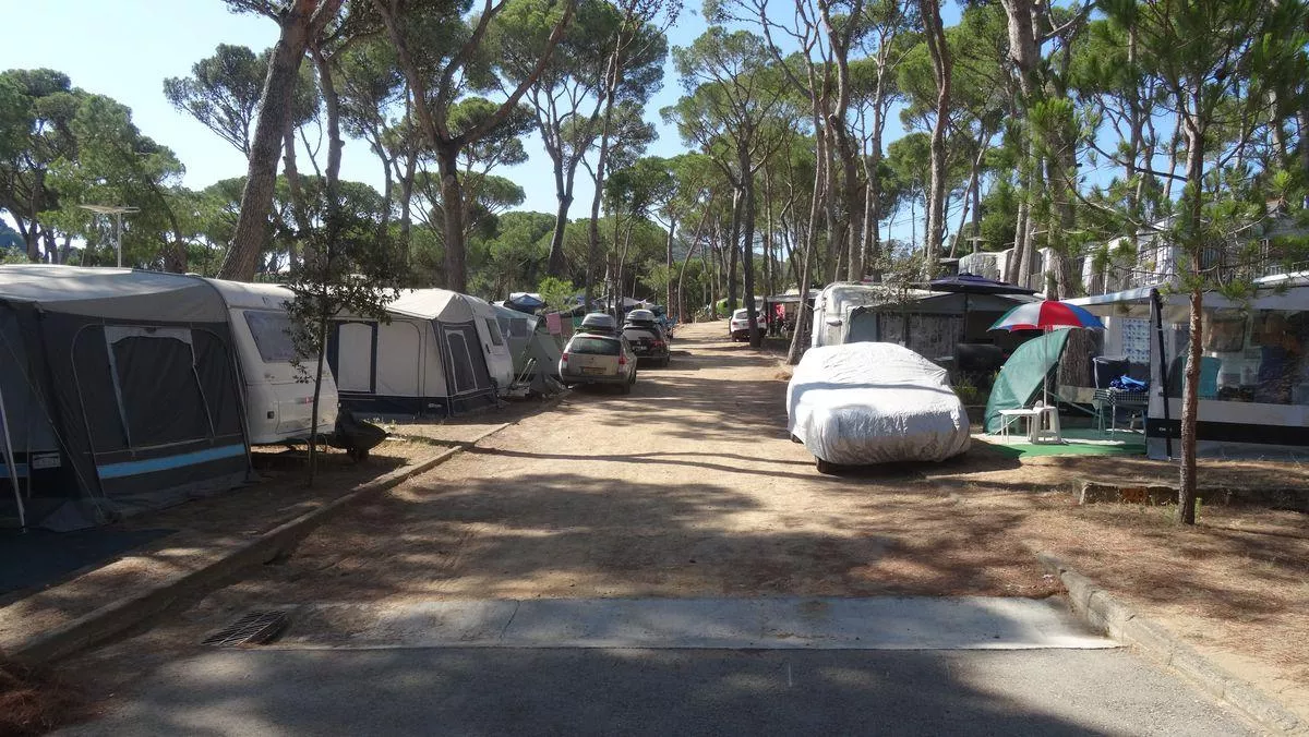 Camping Interpals -