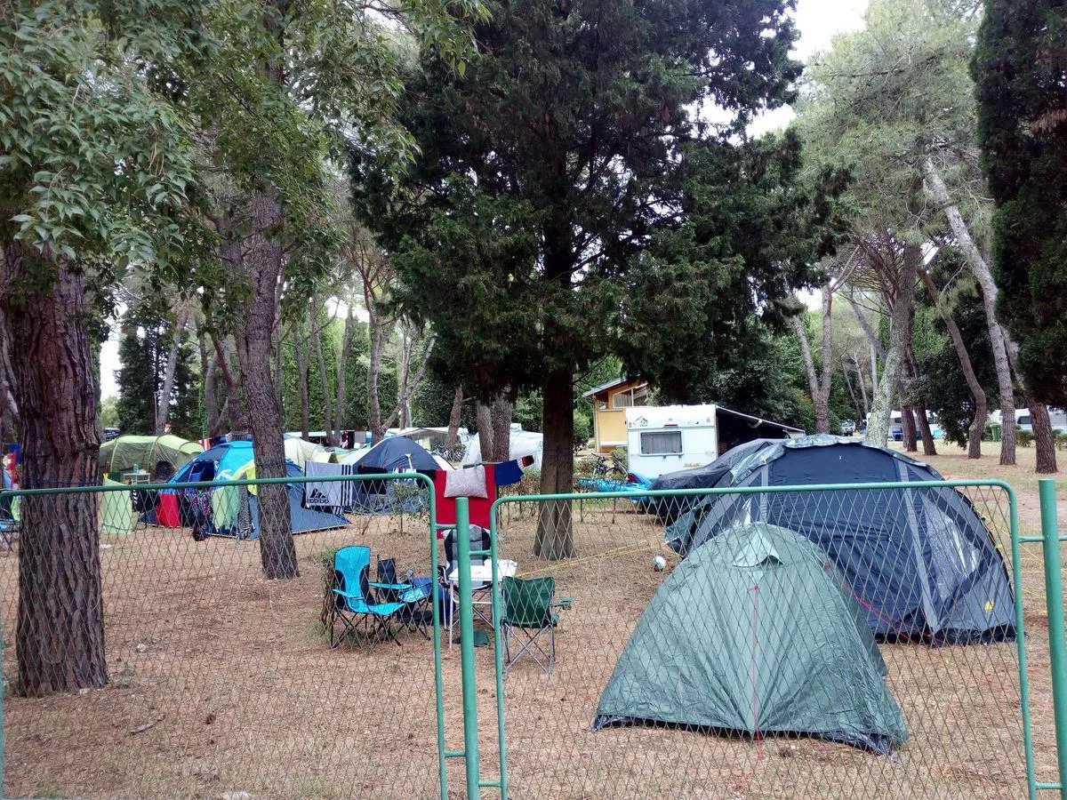 Camping Polari -