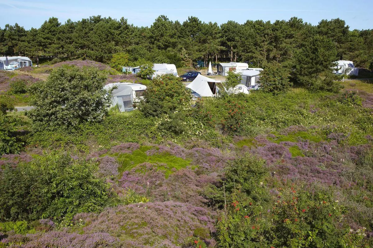 Camping Loodsmansduin-