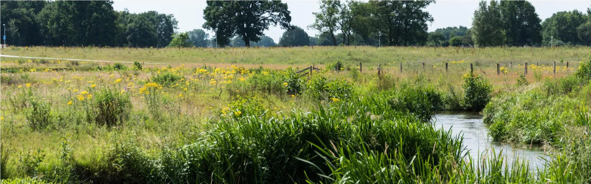 Campings bij Hardenberg