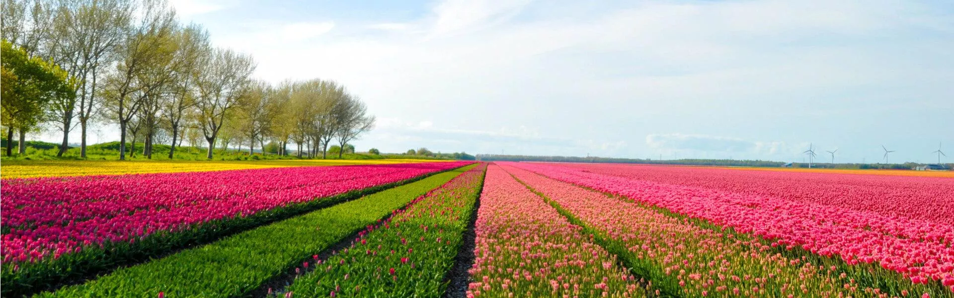 Campings bij Lelystad