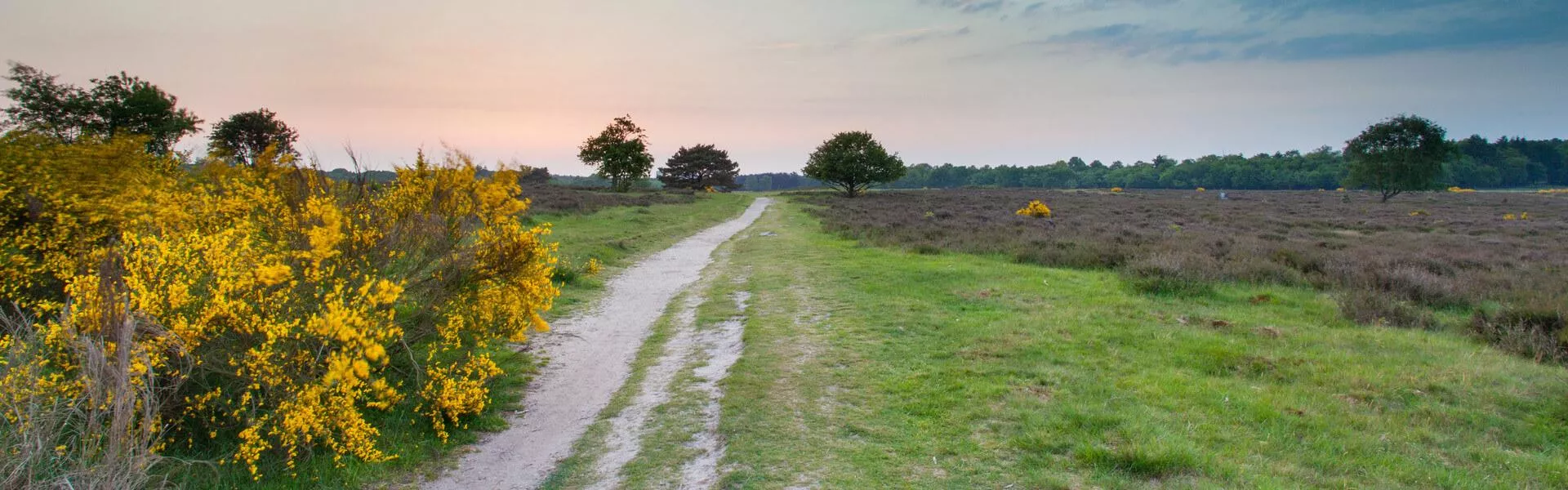 Campings bij Hilversum