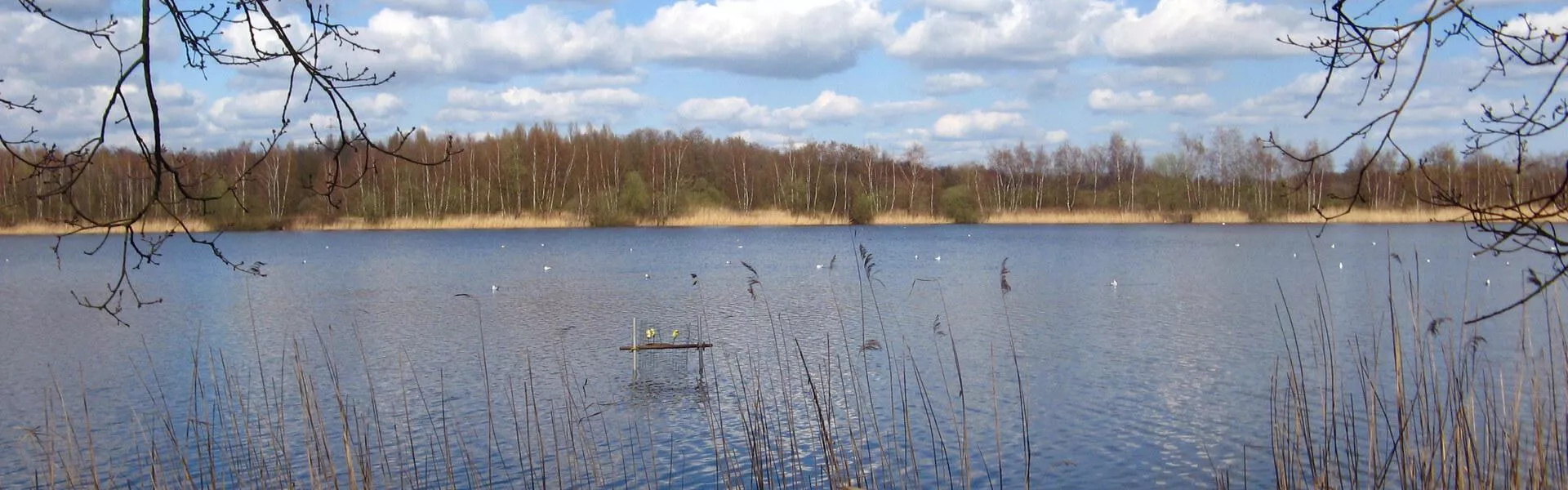 Campings bij Maaseik