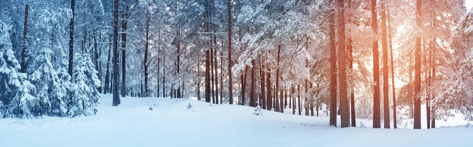 Kerstvakantie campings zoeken