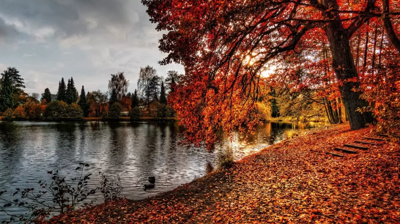 kamperen herfst