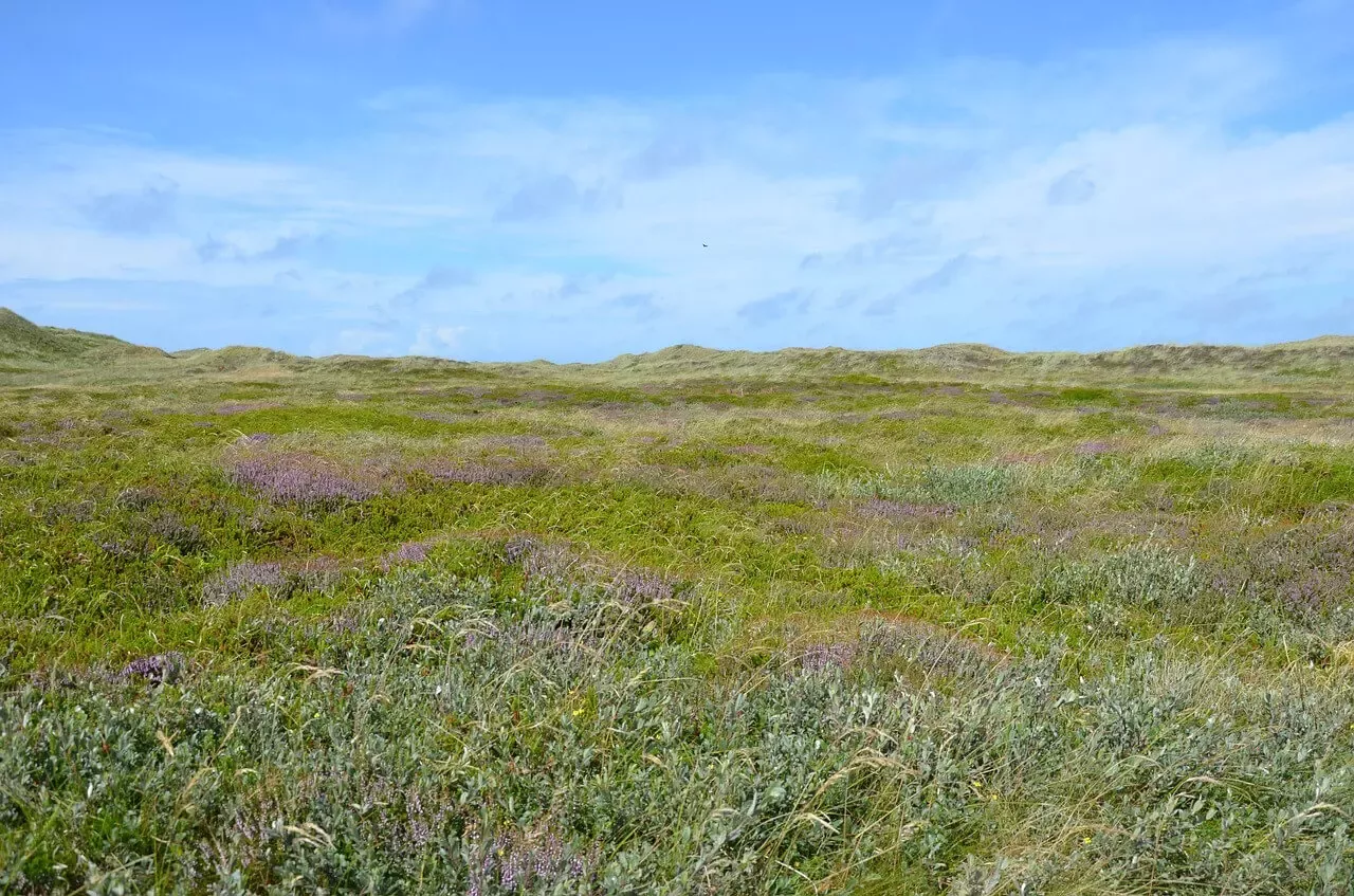 denemarken