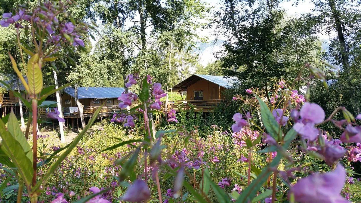 Camping Ferienparadies Natterer See -