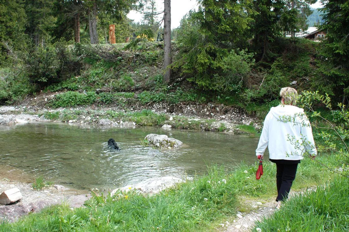 Camping Caravan Park Sexten 