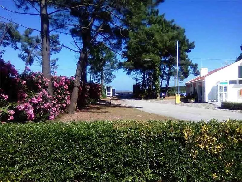 Camping Orbitur S. Jacinto
