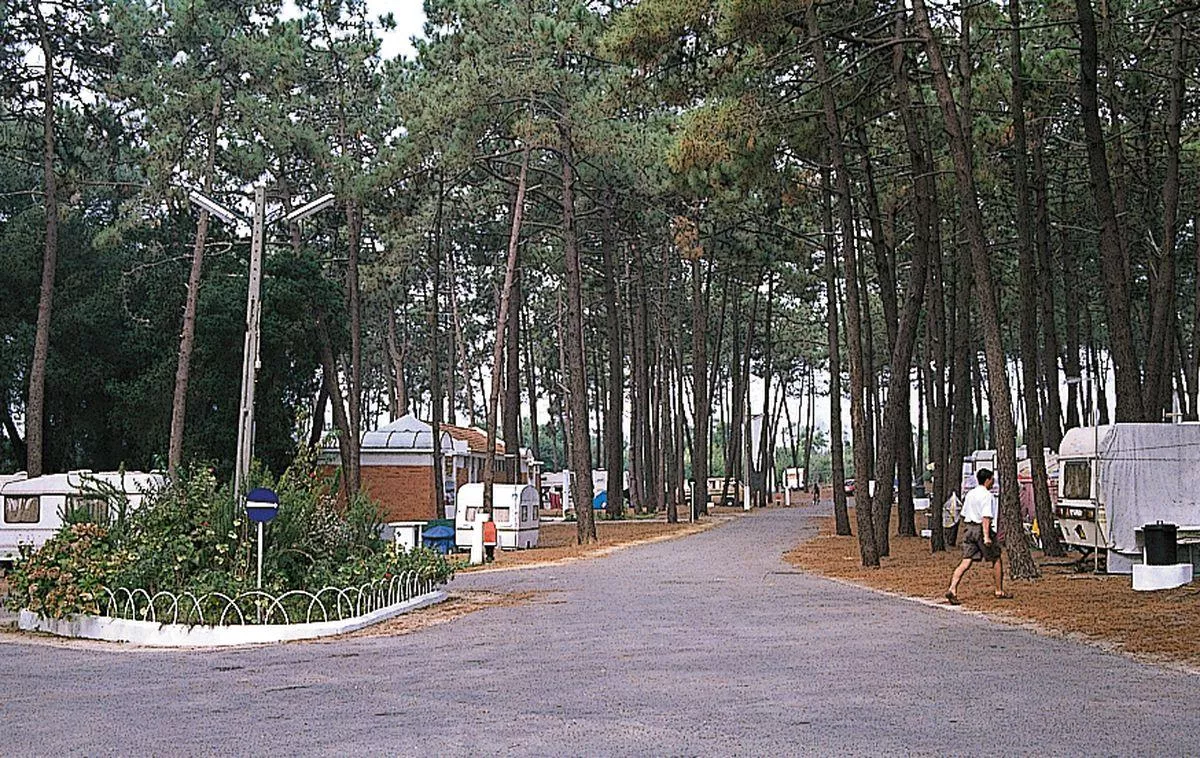 Camping Orbitur S. Jacinto