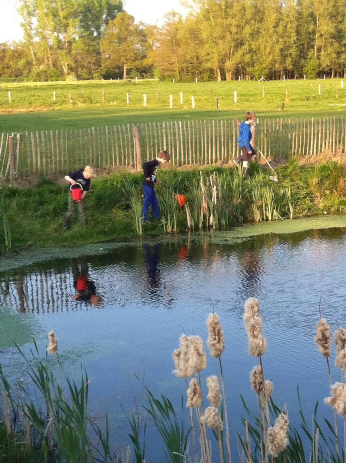 Camping De Adelaar-