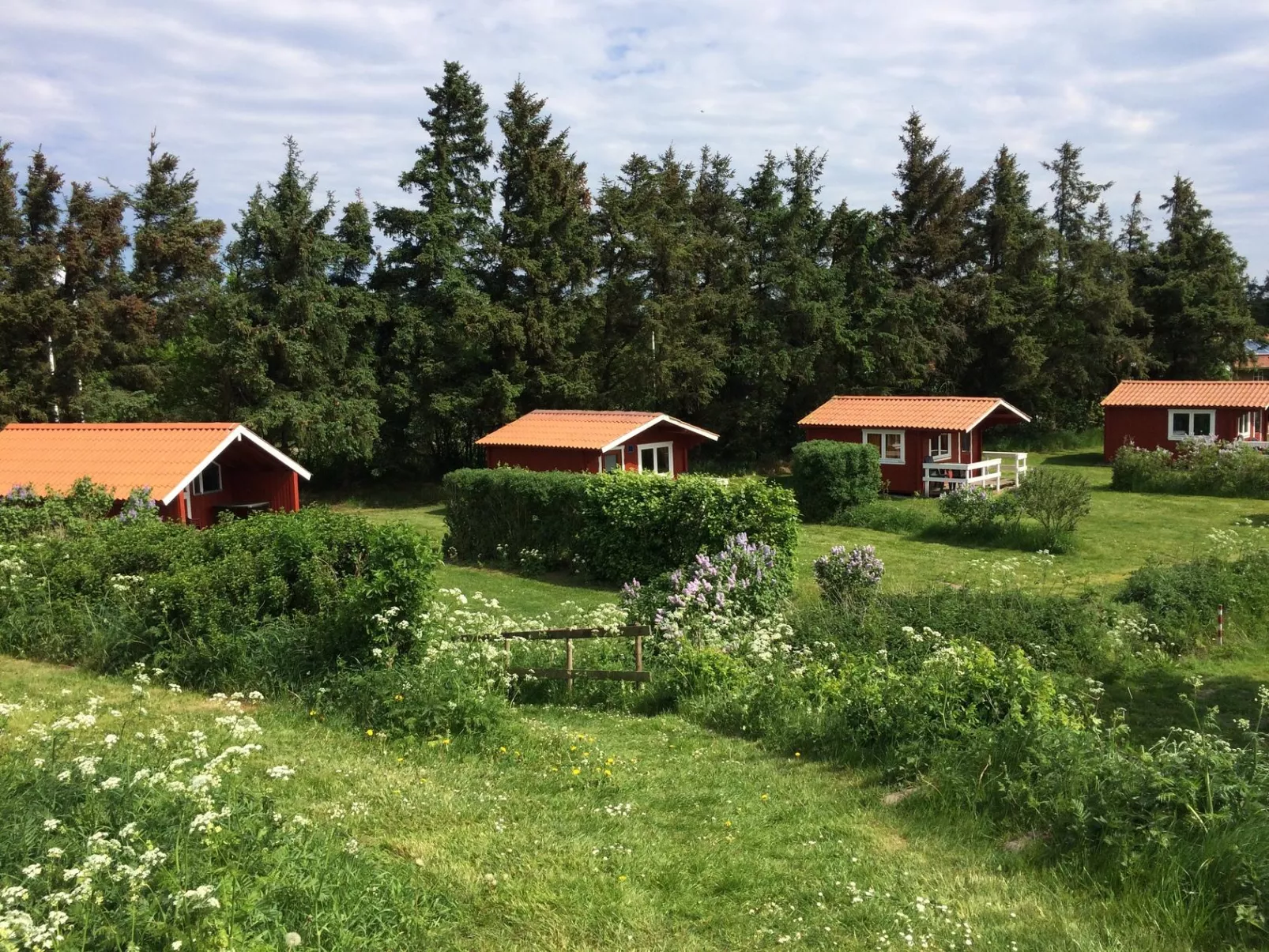 Ballum Camping -