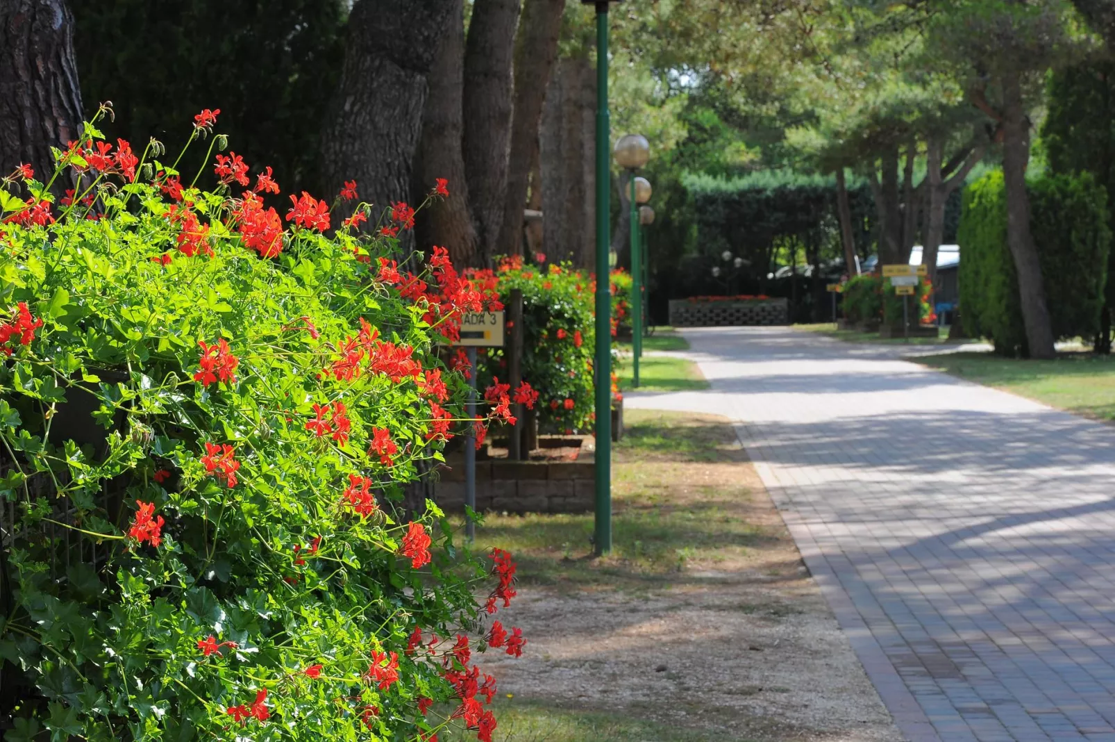 Camping Al Boschetto -
