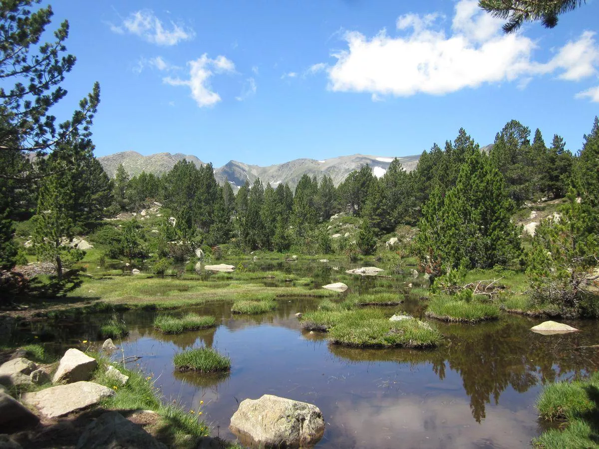 Camping Le Rotja 