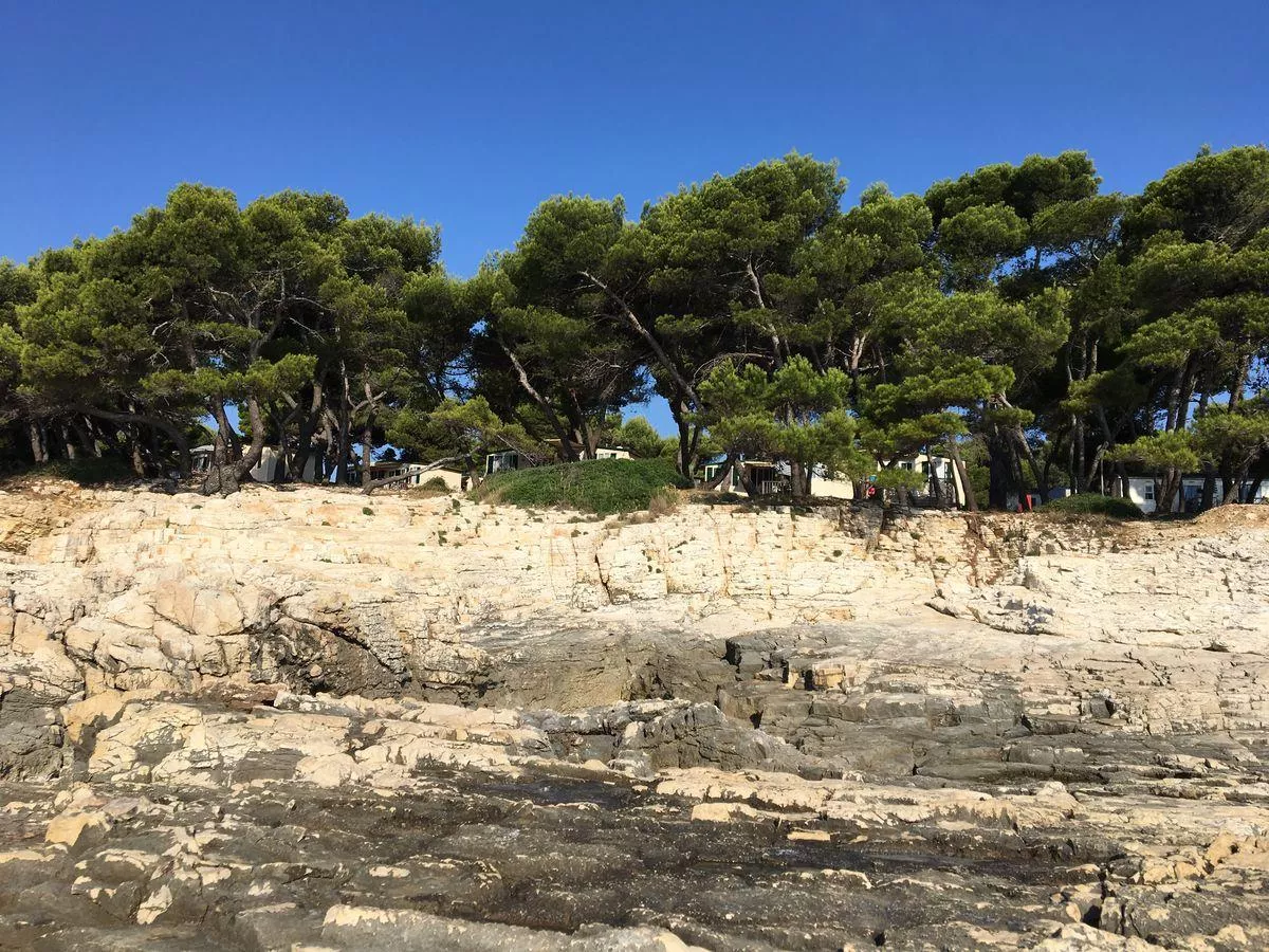 Arena Stoja Campsite -