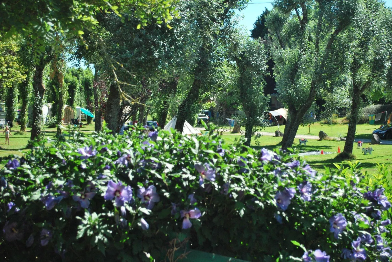 Camping Les Tournesols -